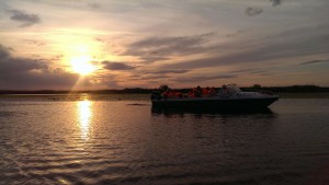 Delta del Danubio